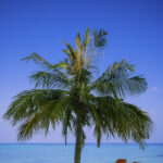 Bounty Island Maldives