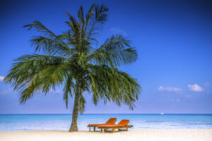 RS Photo Art Malediven