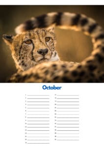 Kalender 2025 October / Oktober