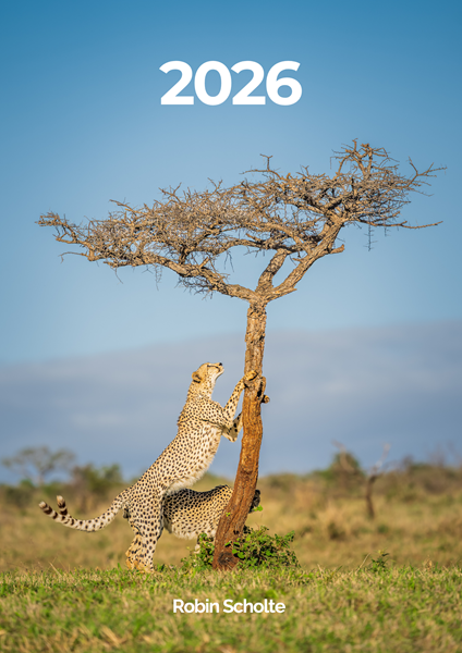Verjaardagskalender 2026 wildlife RS Photo Art